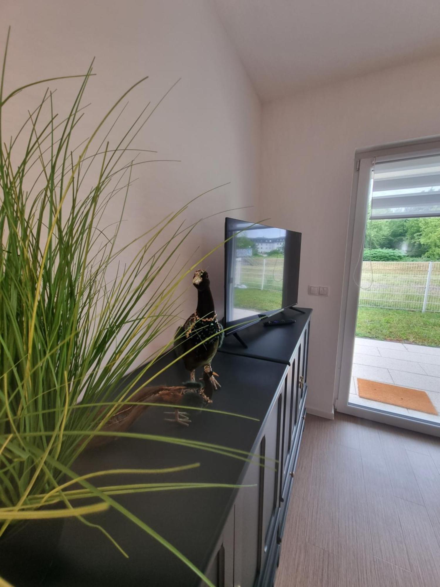 Ferienwohnung Im Palais Am See Am Goitzschesee Bitterfeld-Wolfen Quarto foto
